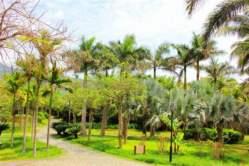 miss cake手工蛋糕烘焙屋