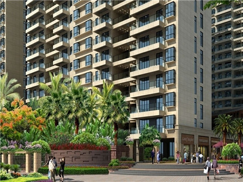 香多滋鲍汁焖鸡