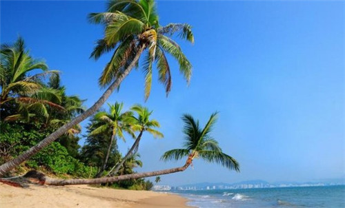 鲁班锁加盟创业选择哪些品牌受欢迎，鲁班锁最经典的有哪几款