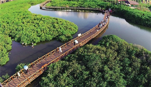 启东市开奶茶加盟店前期投资大吗，鲜果遇见茶2025年还能在启东市加盟吗