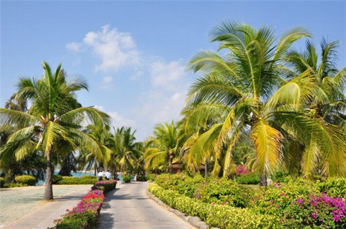 起名字要带木字吗女孩（名字里带木的女孩名字意义）