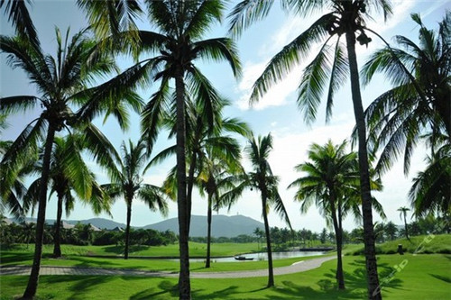 水又暖山又温是什么歌（水又暖山又温是什么歌曲）