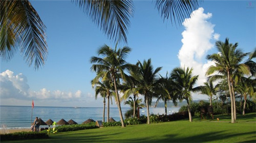 留一手烤鱼的利润怎么样