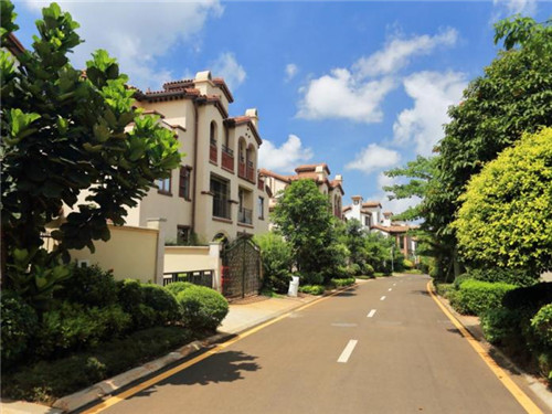 妄想山海混沌风景点查询器（妄想山海里混沌怎么玩）