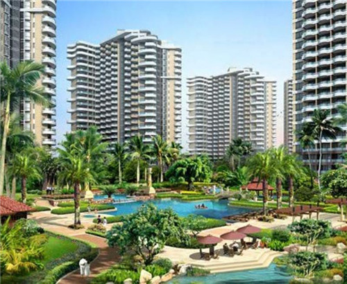 陕西家常炒豆角做法（炒豆角视频讲解）